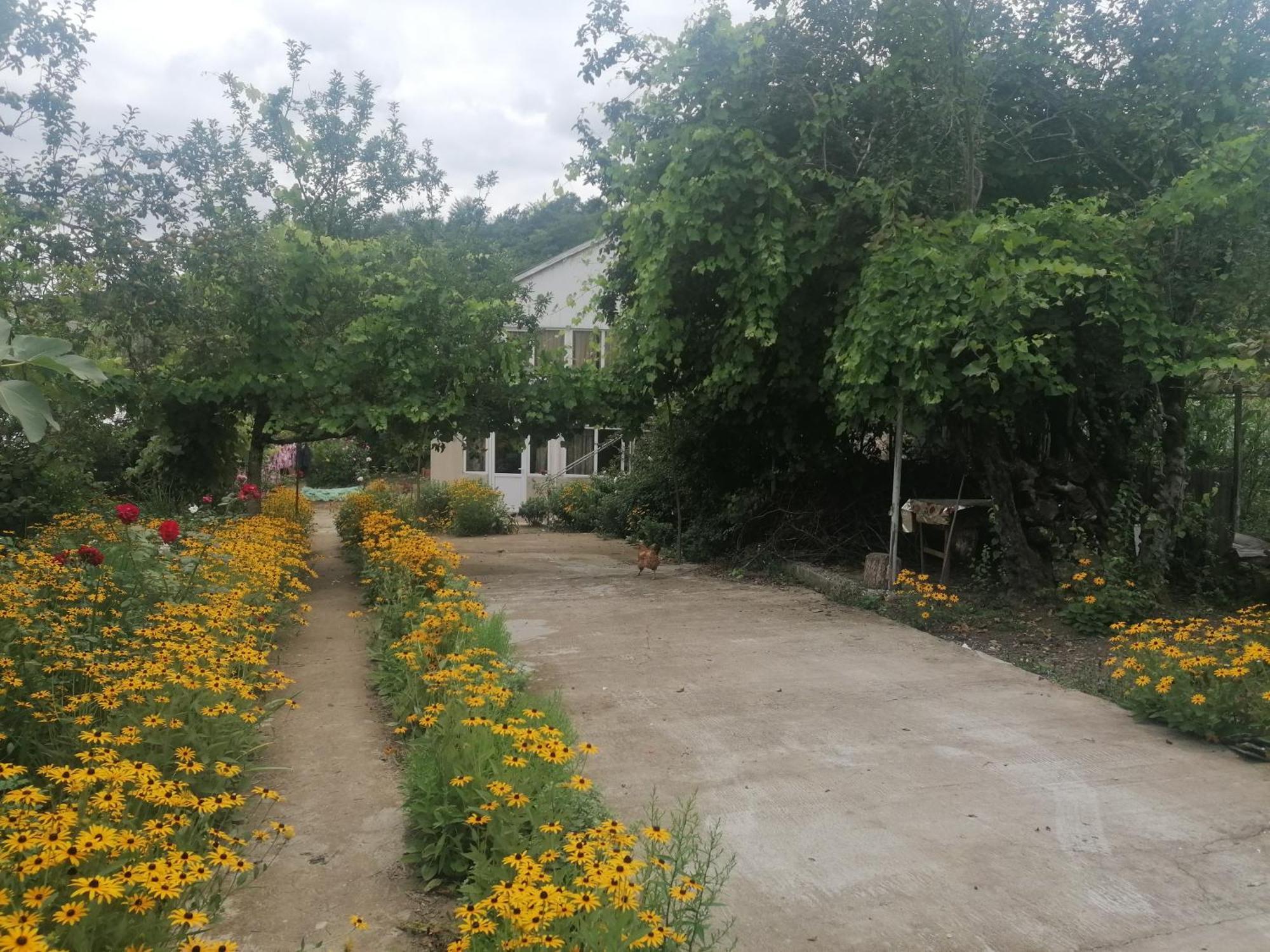 Gogni Old Room Ngoại thất bức ảnh